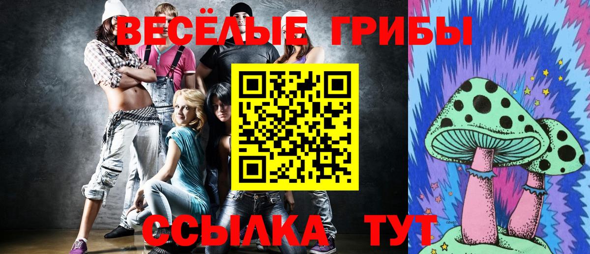 Псилоцибиновые грибы мицелий Костомукша