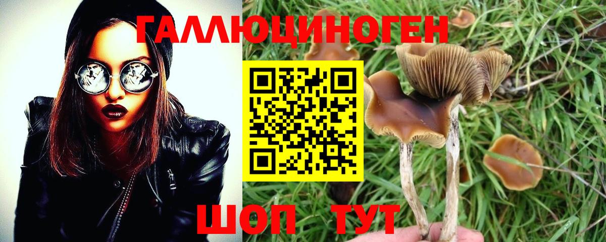 Галлюциногенные грибы Magic Shrooms  Галлюциногенные грибы Psilocybe  Вход с VPN  Костомукша 