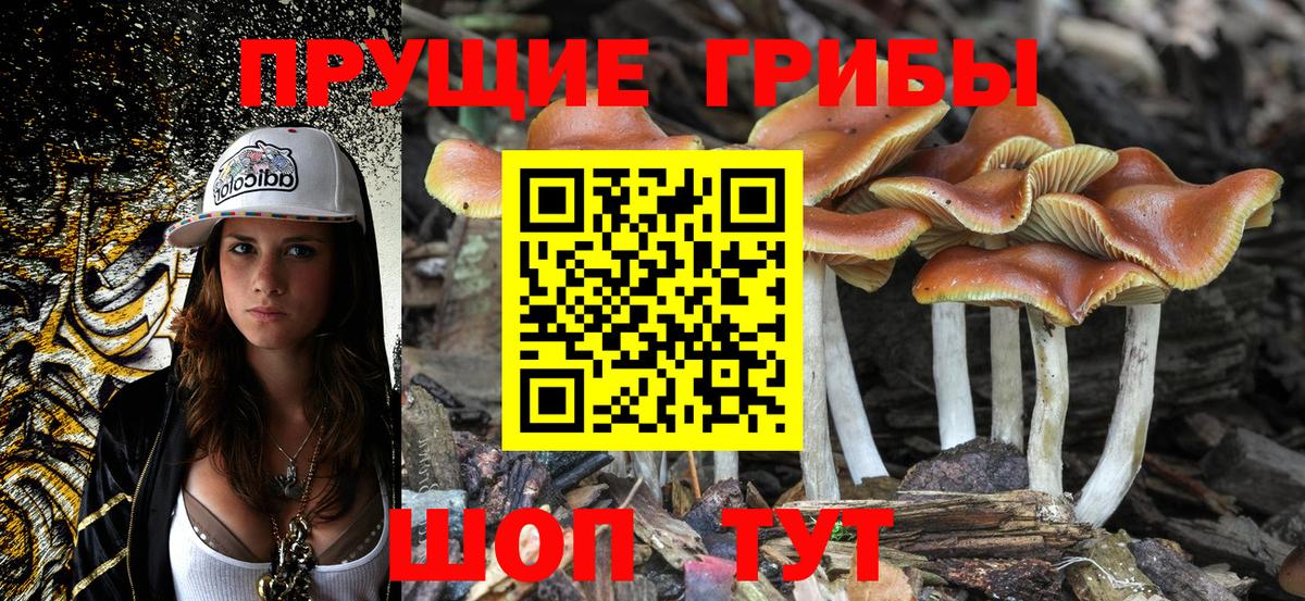 МЕФ   Метамфетамин  МАРИХУАНА  Вход с VPN  Костомукша  ЭКСТАЗИ  Cocaine  ГАШ 